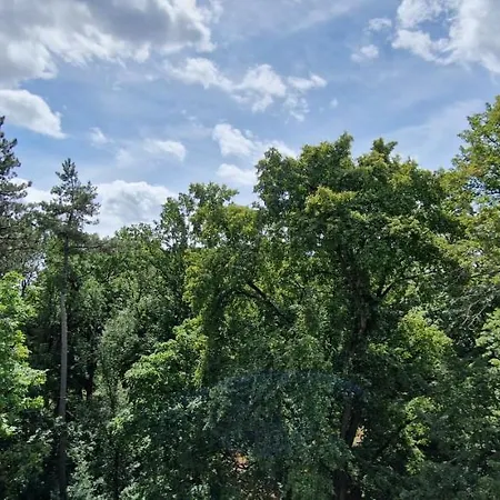 Mit Parkblick & Massagestuhl * Lipsk