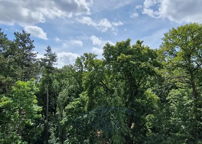 Mit Parkblick & Massagestuhl * Lipsk